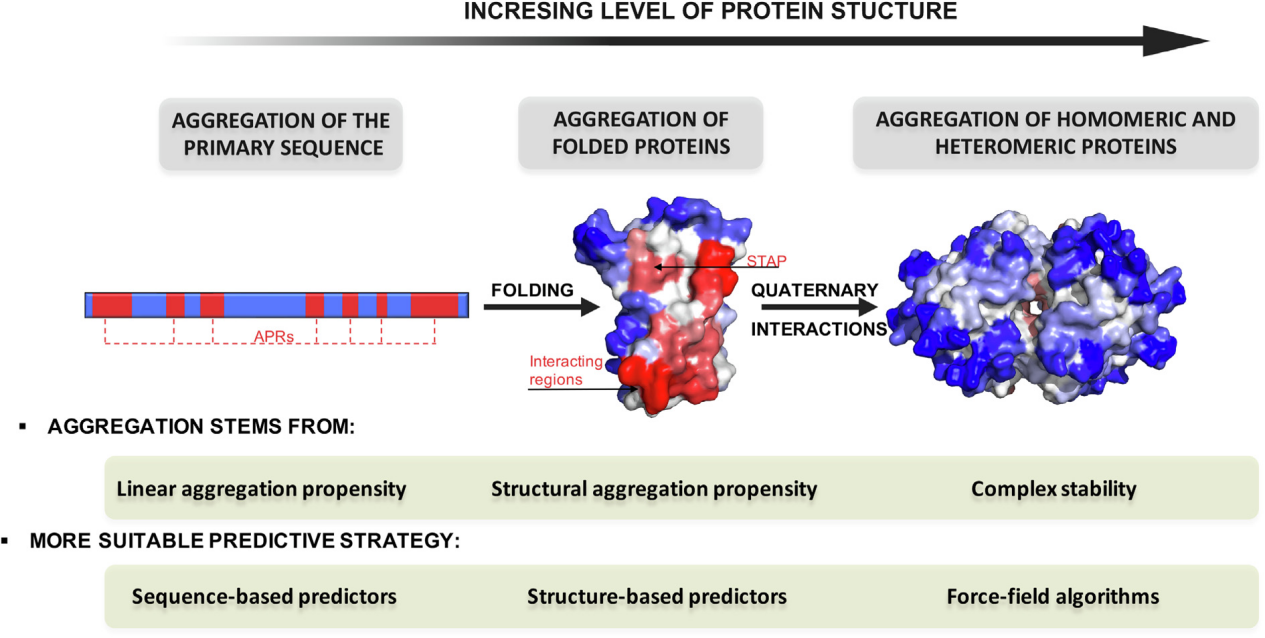 AggreProt: a web server for predicting and engineering aggregation pron eregions in proteins